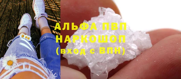шишки Краснослободск