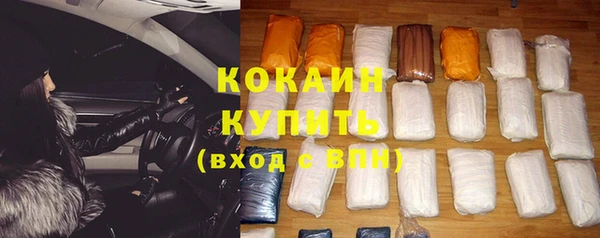гидра Кодинск