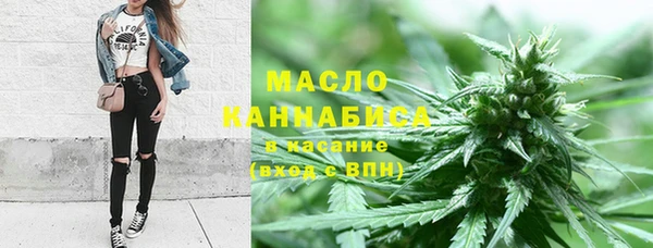 стафф Кулебаки