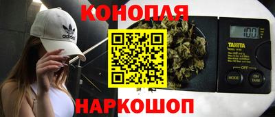 прущие грибы Заводоуковск