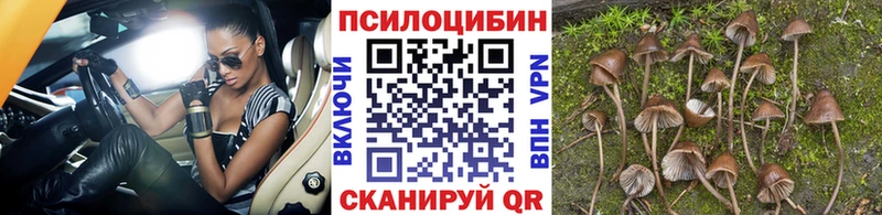 Псилоцибиновые грибы Magic Shrooms  Реж 