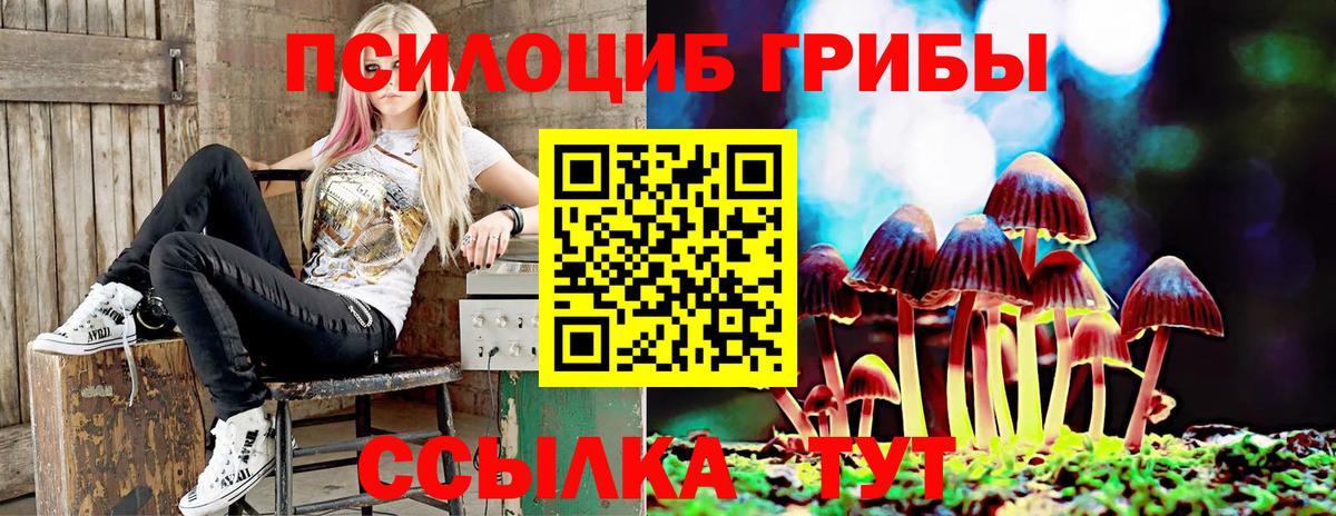 Реж  Псилоцибиновые грибы GOLDEN TEACHER  Вход с VPN 